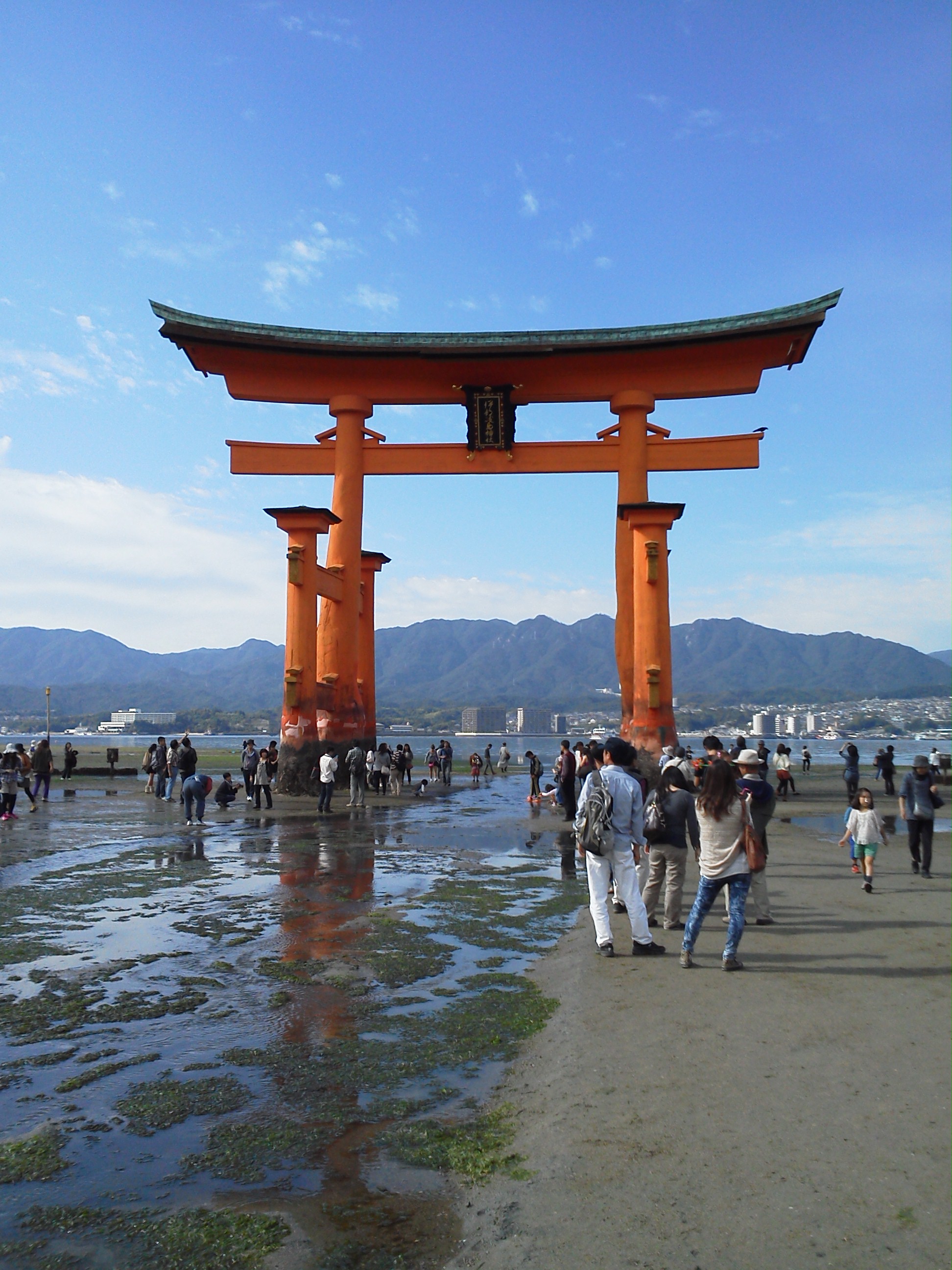 厳島神社の大鳥居 干潮