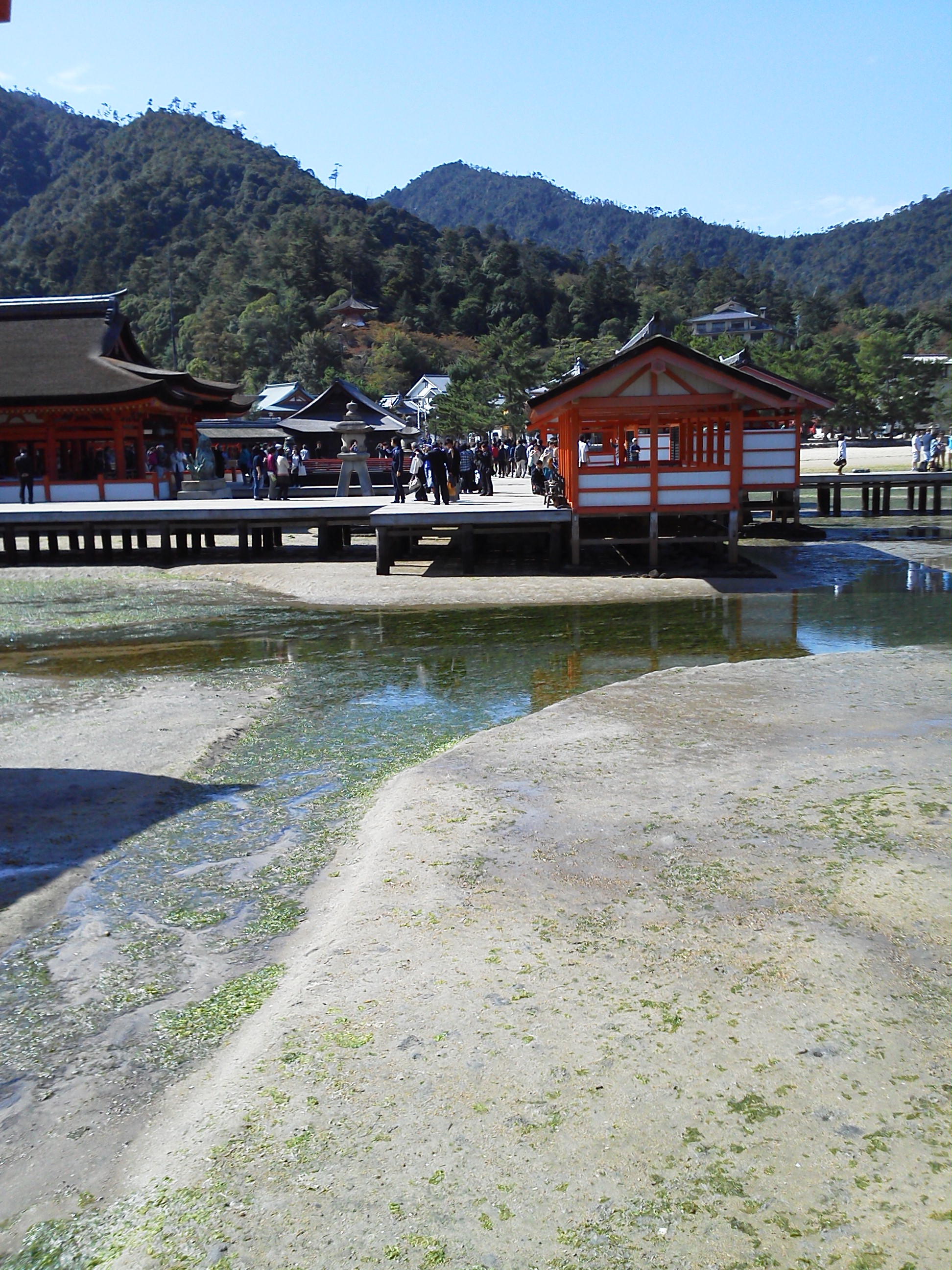 宮島の厳島神社の拝殿