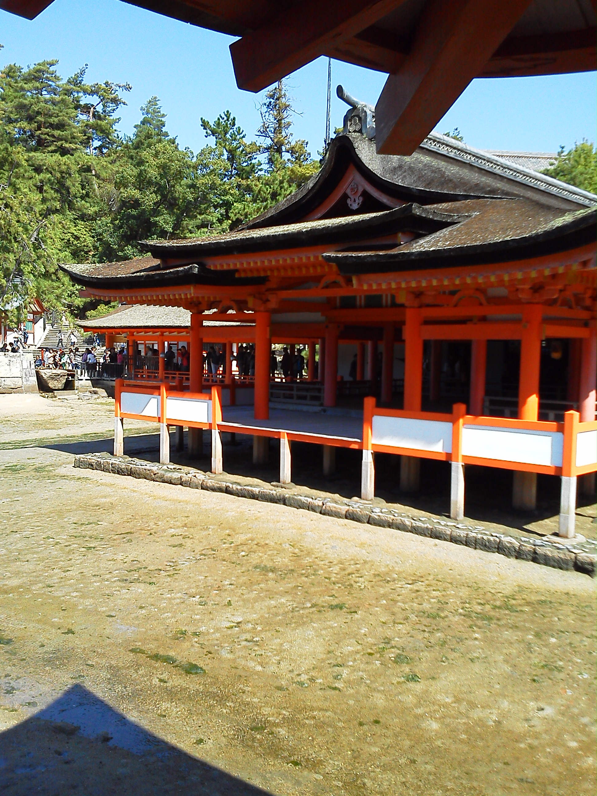 厳島神社の社殿